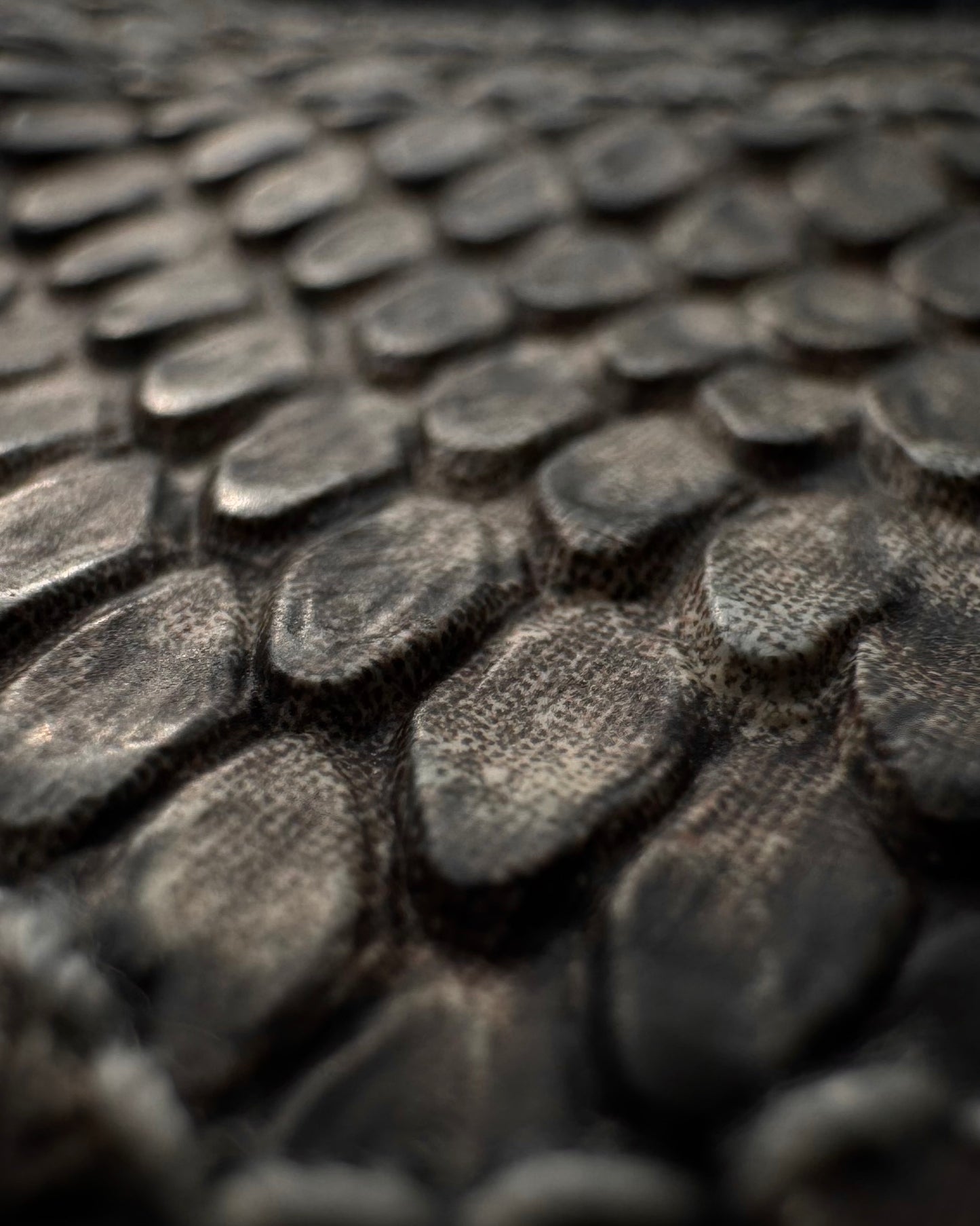 Semantic Design Python Detailed Sword Knee Bootcut Jeans