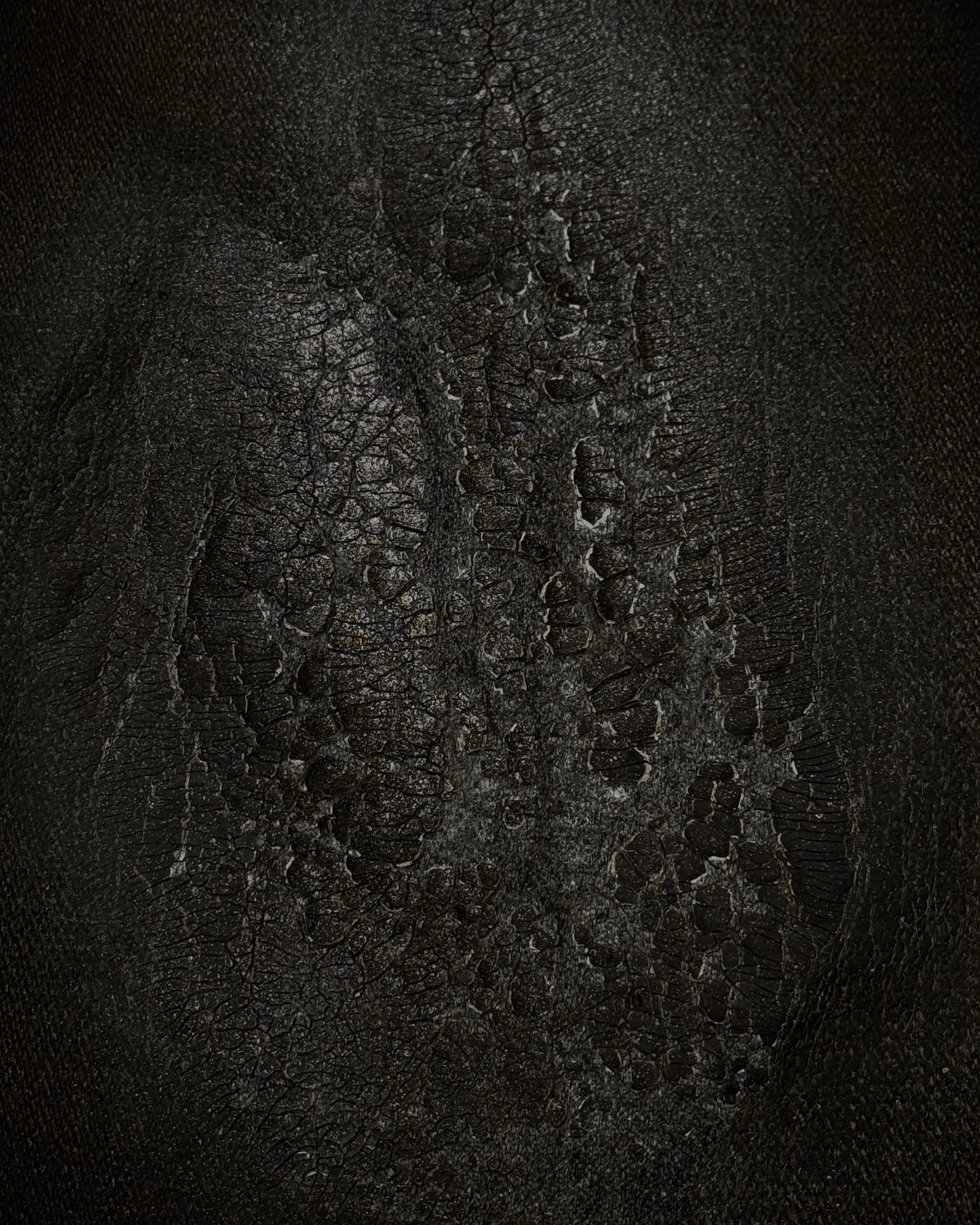 LED Rechwe Veronica Arizona Crack Waxed Studded Flared Jeans