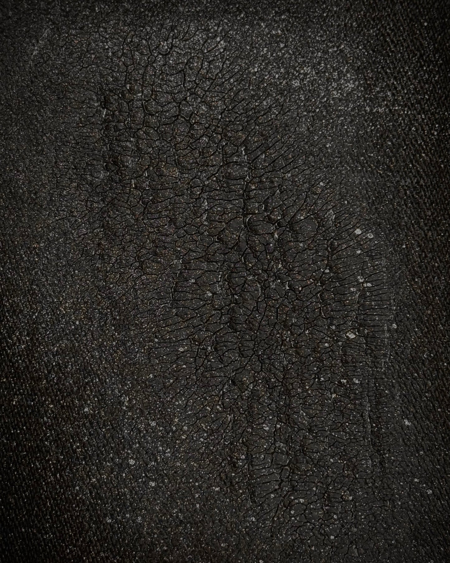 LED Rechwe Veronica Arizona Crack Waxed Studded Flared Jeans