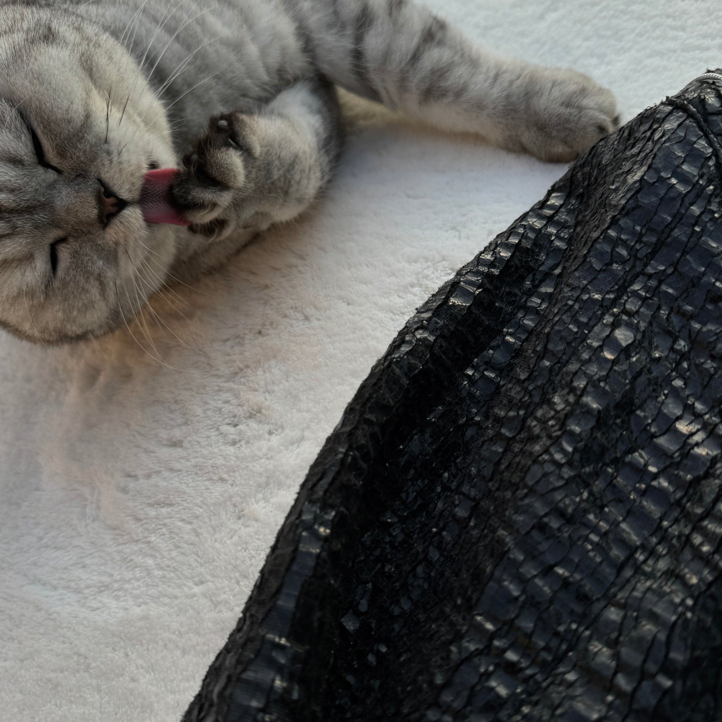 Buffalo Bobs Cracked Jacket