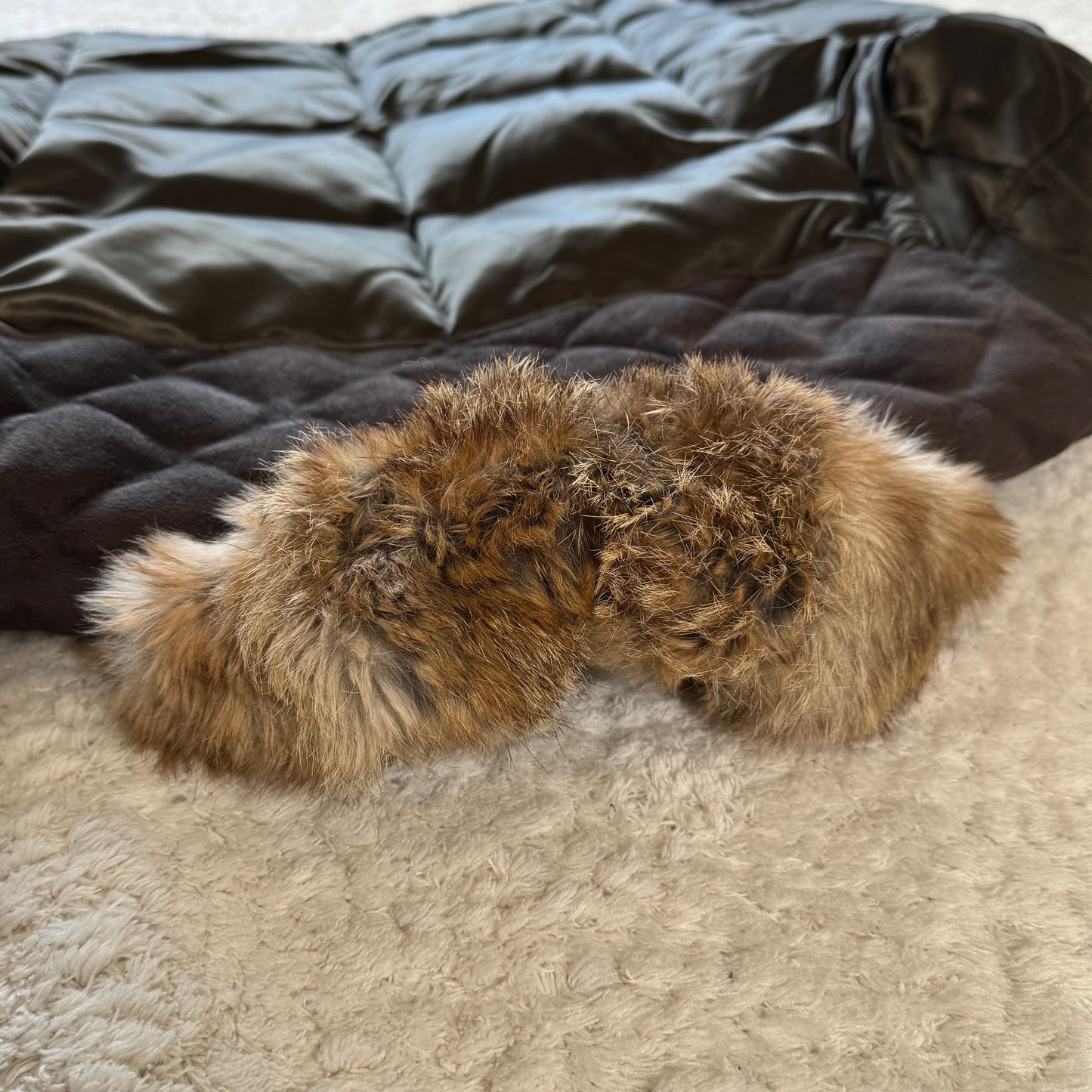Schlüssel Olive Rabbit Fur Lace-Up Sleeves Jacket