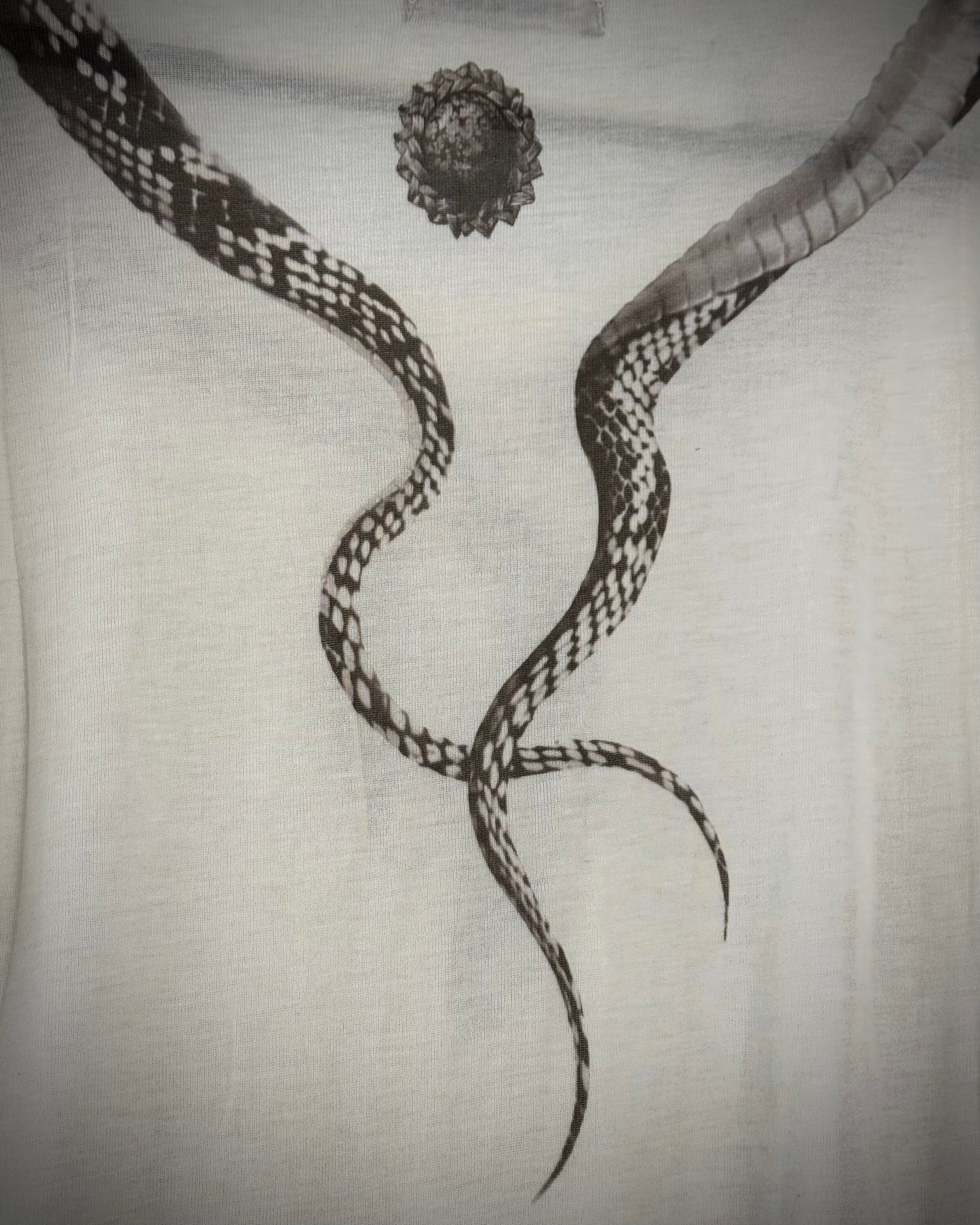 The Space Between Us Asymmetrical Pythons T-Shirt