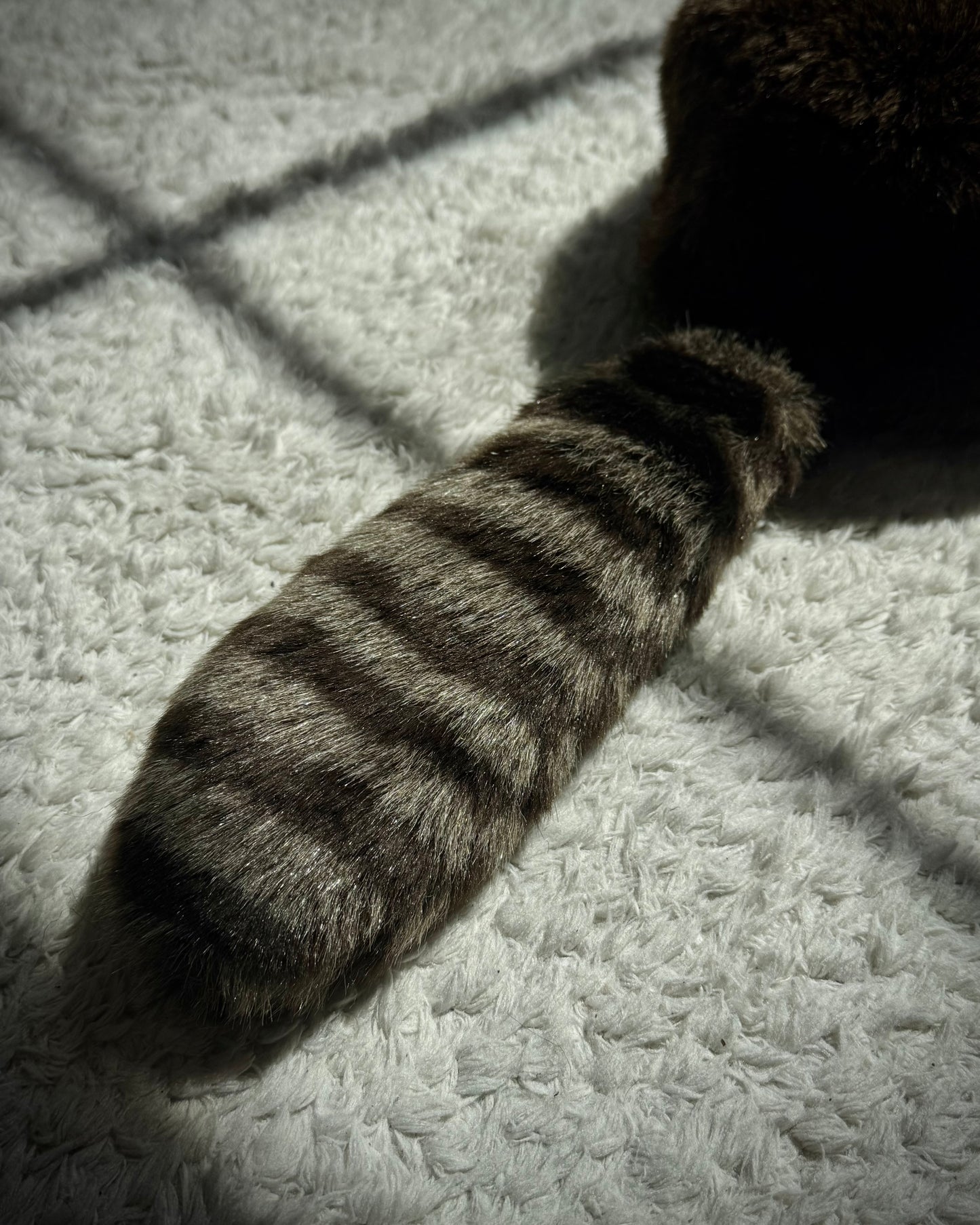 Tailed Fur Hat