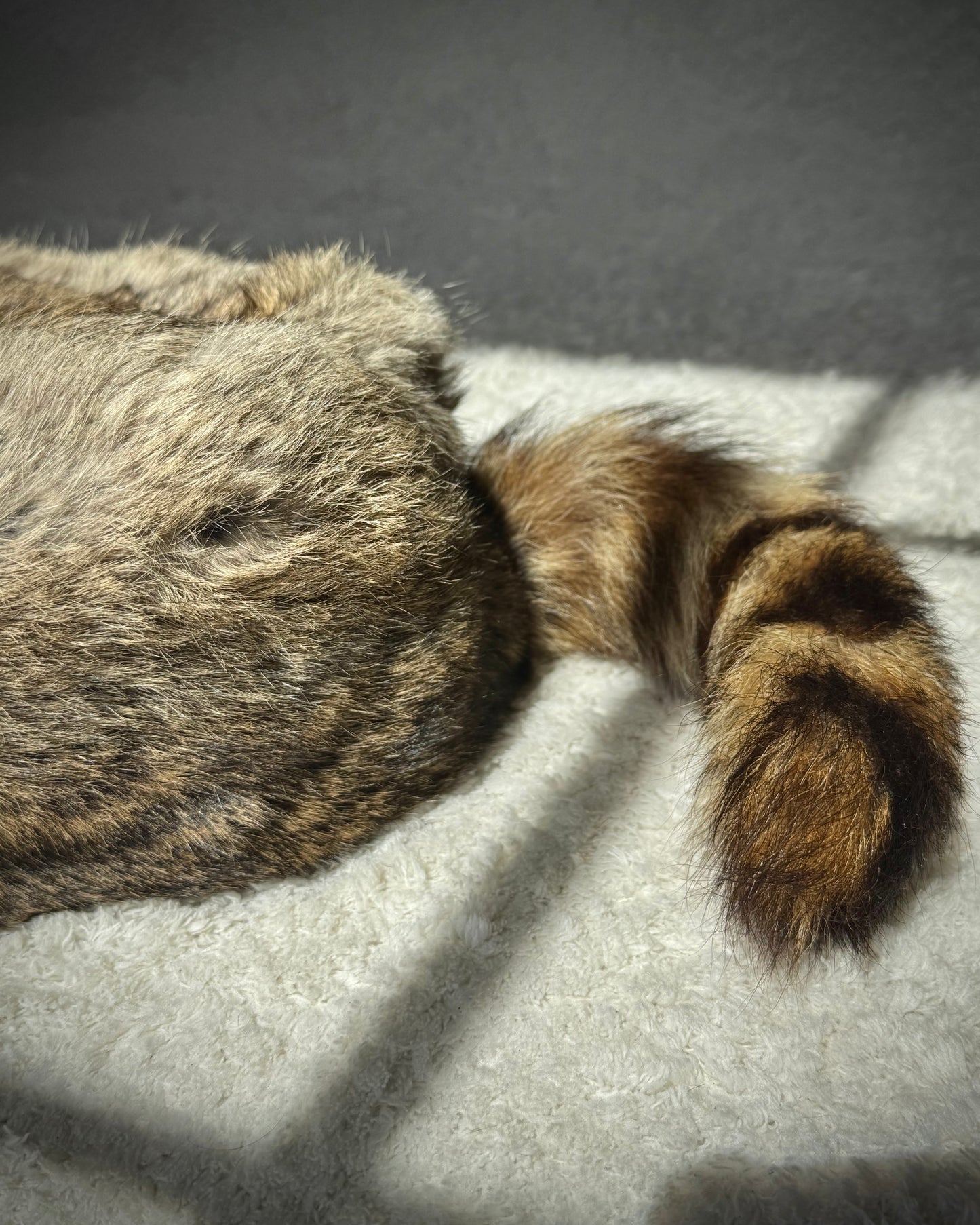 Rabbit Fur Raccoon Tail Hat