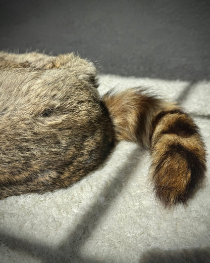 Rabbit Fur Raccoon Tail Hat