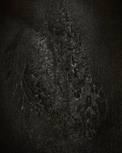 LED Rechwe Veronica Arizona Crack Waxed Studded Flared Jeans