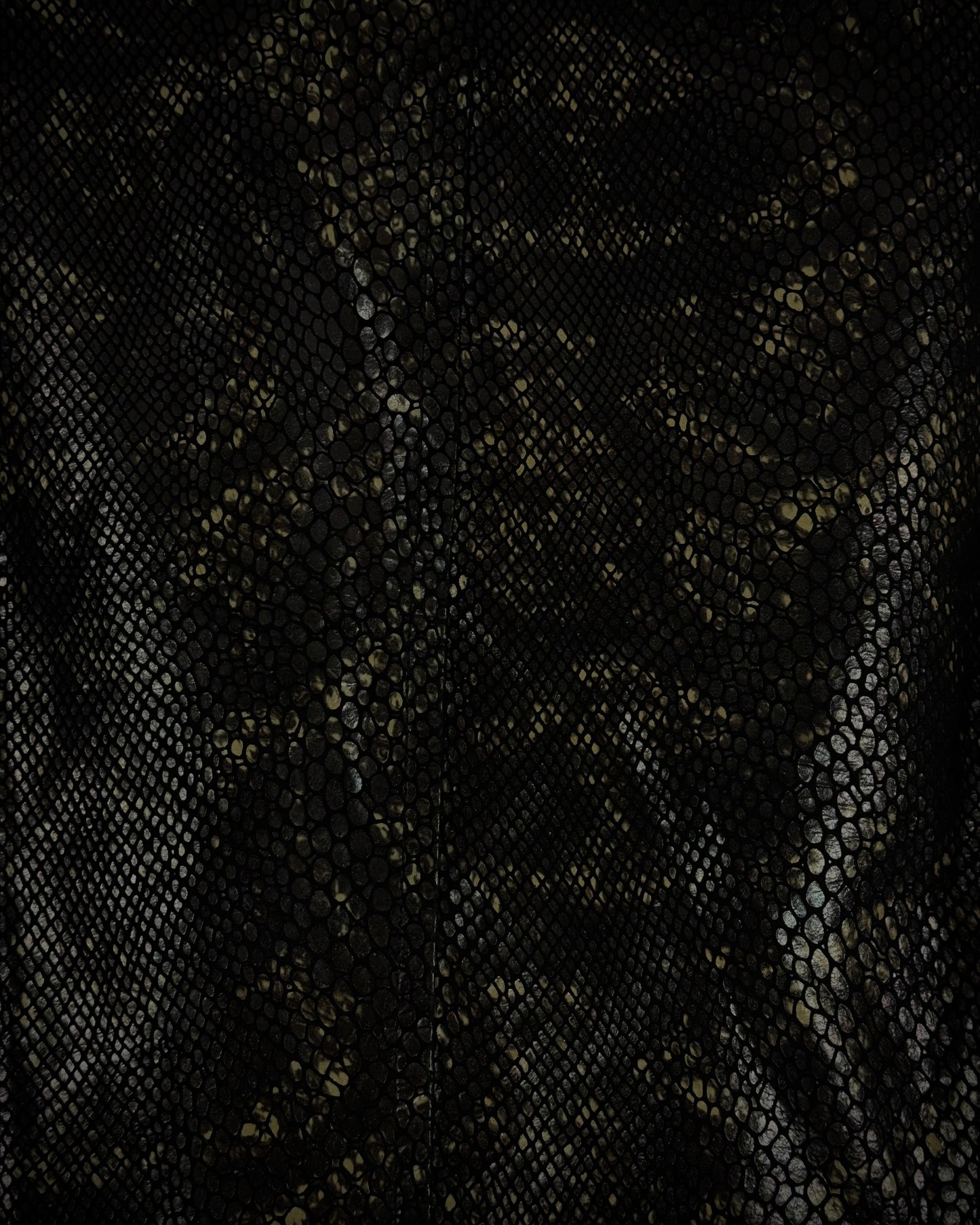 Tornado Mart Raccoon Fur Python Shimmer Jacket