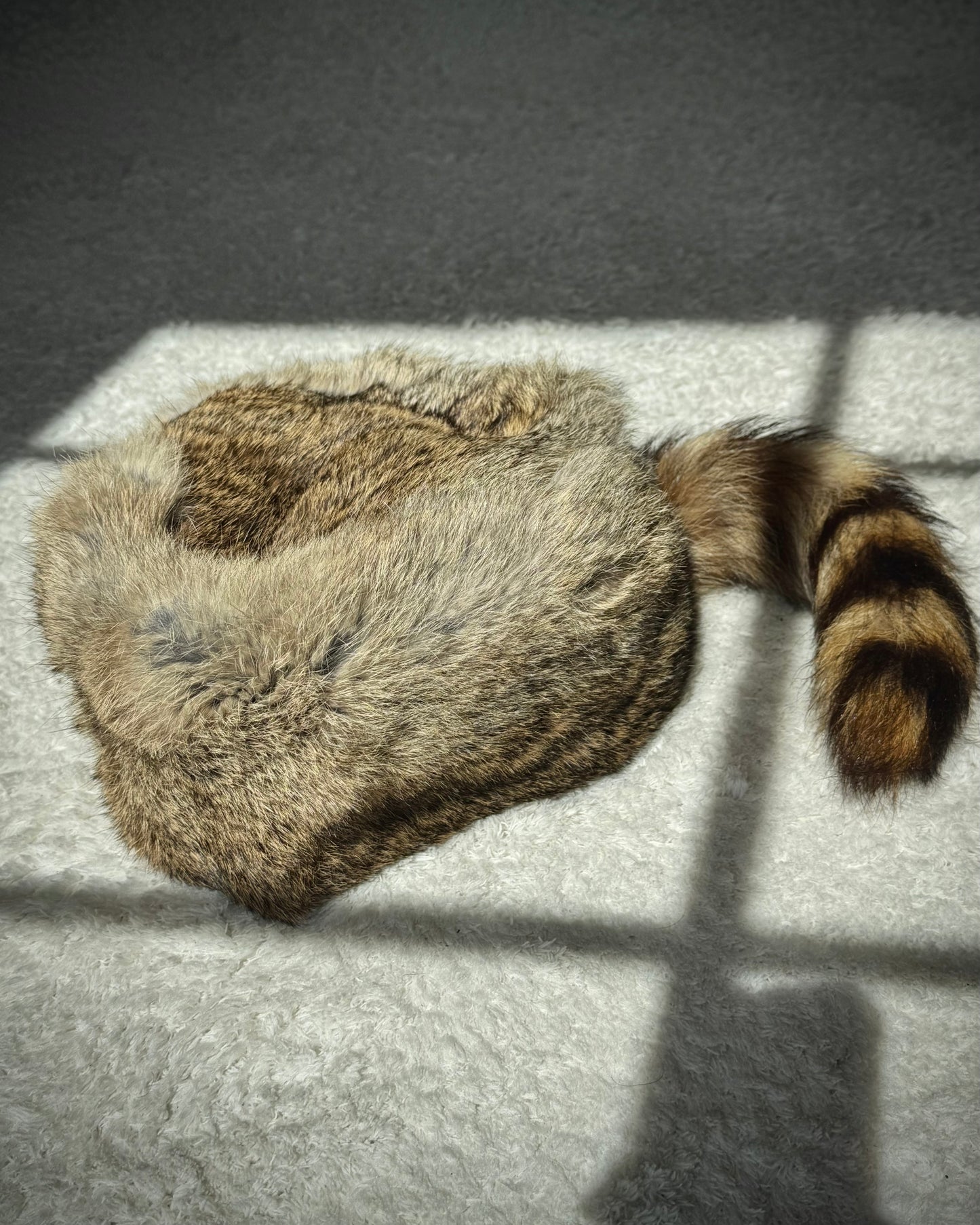 Rabbit Fur Raccoon Tail Hat