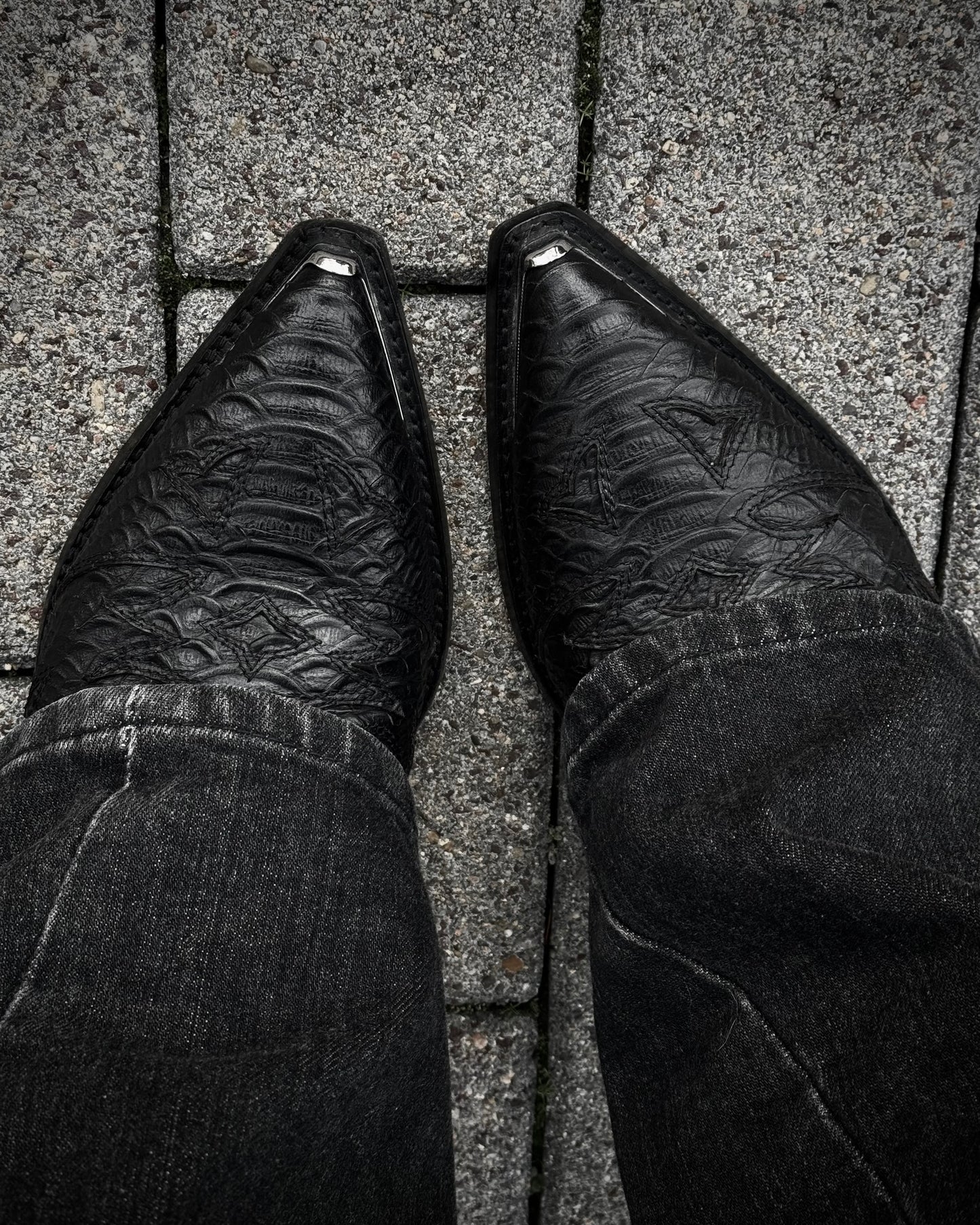 Ash Python Leather Metallic Pointed Boots