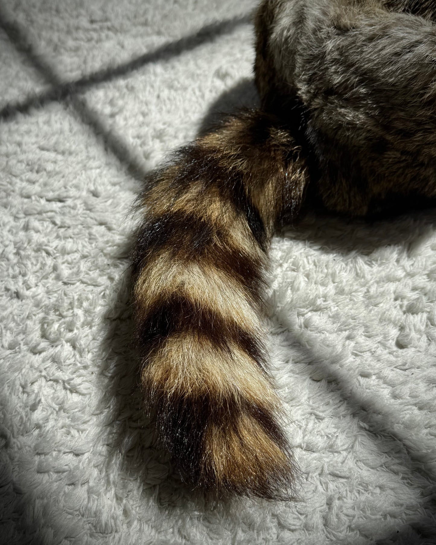 Rabbit Fur Raccoon Tail Hat